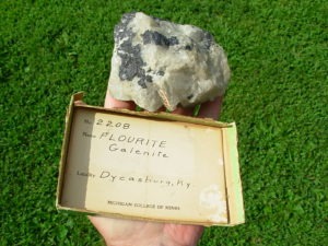 Fluorite and Galenite
