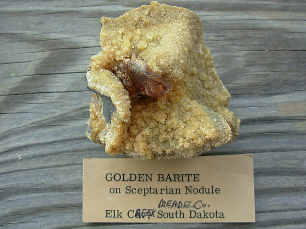 Golden Barite on Septarian Nodule from Elk Creek, SD