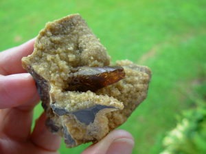 Golden Barite on Septarian Nodule from Elk Creek, SD