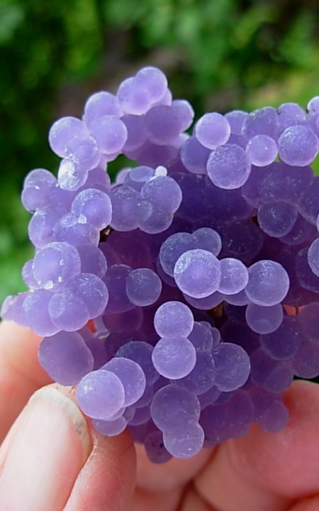 Grape AgateBotryoidal Amethyst