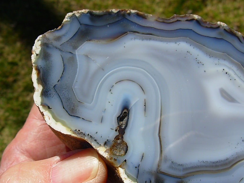 India Whiteskin Agate Polished Nodule