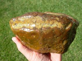 Item# BRA06110524-1-4