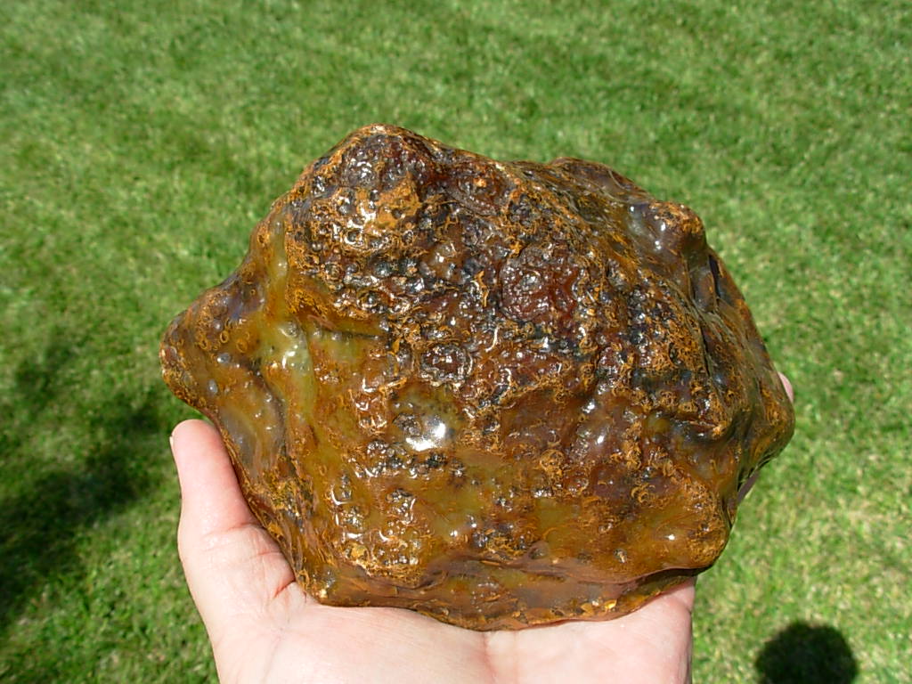 Item# BRA06114712-1-1