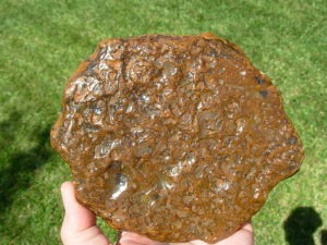 Item# BRA06114712-1-3