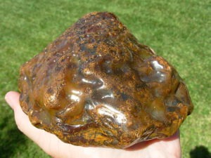 Item# BRA06114712-1-5