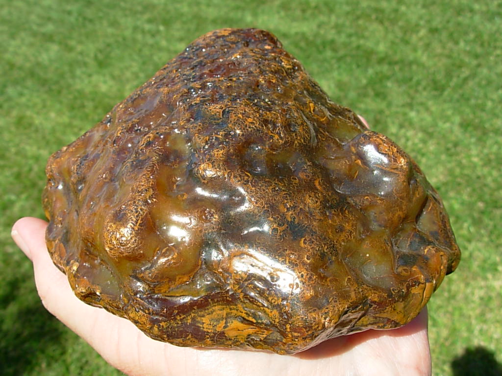 Item# BRA06114712-1-5