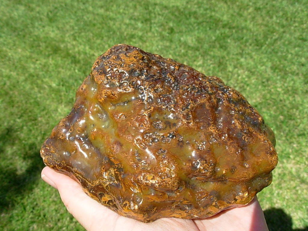 Item# BRA06114712-1-6