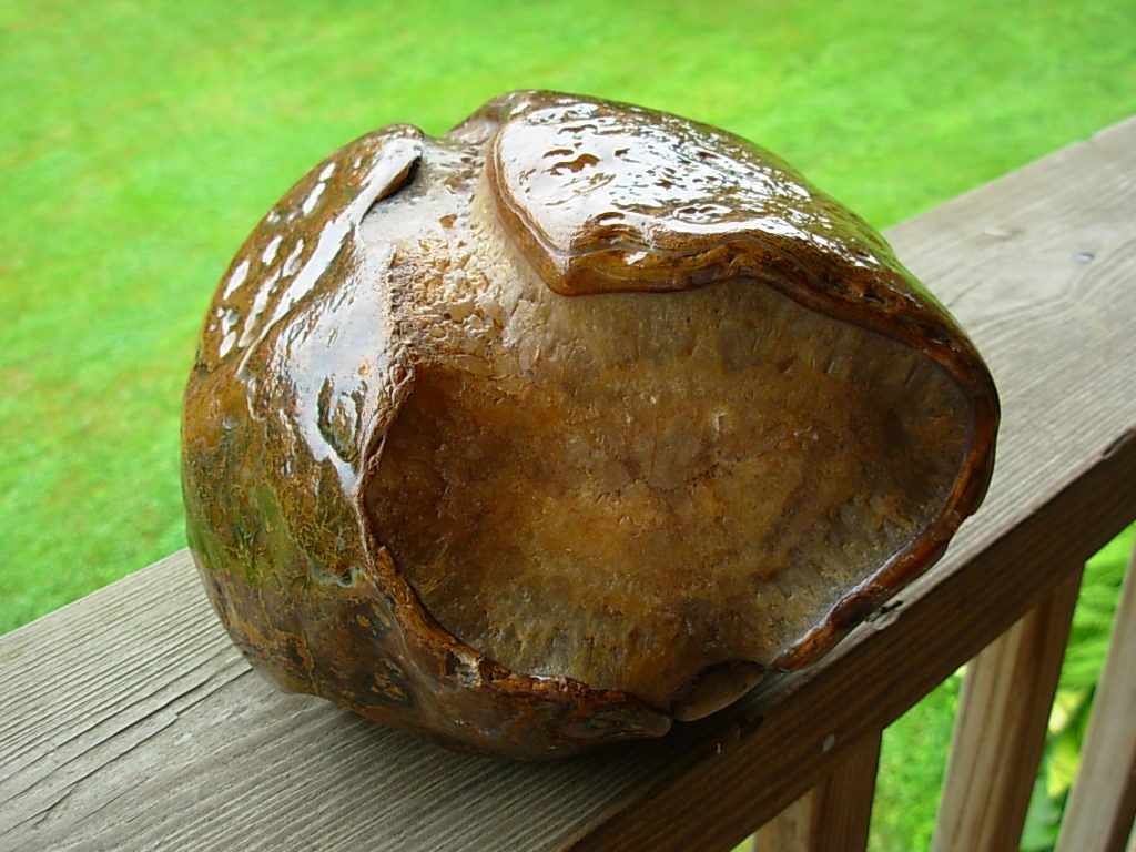 Item# BRA06173035-1-1