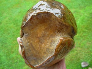 Item# BRA06173035-1-2