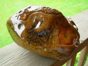 Item# BRA06173035-1-3