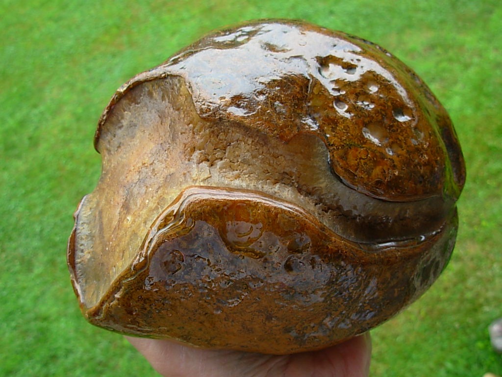 Item# BRA06173035-1-4