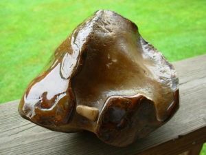 Item# BRA06173035-1-6