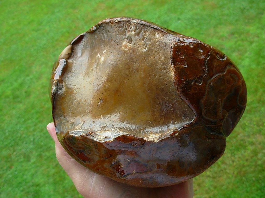 Item# BRA06173035-1-7