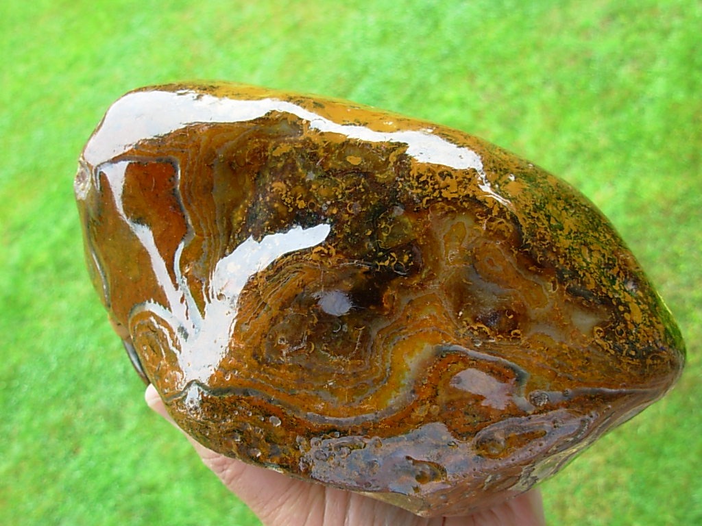 Item# BRA06173035-1-8