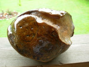 Item# BRA06173035-1-9