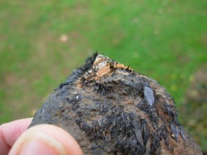 Magnetite Lodestone from Utah