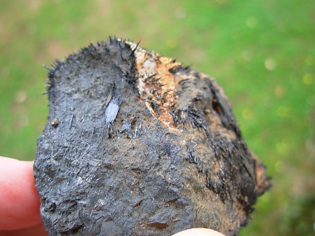 Magnetite Lodestone from Utah