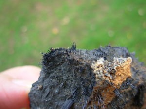 Magnetite Lodestone from Utah