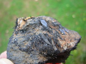 Magnetite Lodestone from Utah