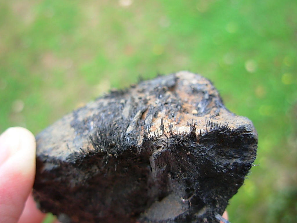 Magnetite Lodestone from Utah