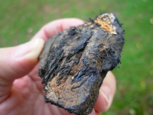 Magnetite Lodestone from Utah