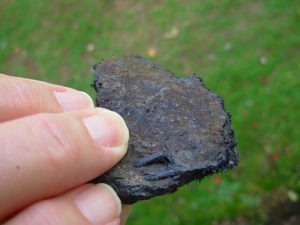 Magnetite Lodestone from Utah