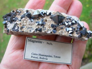 Magnetite Octahedral Crystals from Bolivia