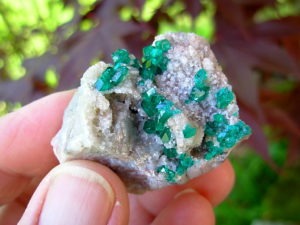 Old Stock Namibia Dioptase on Matrix