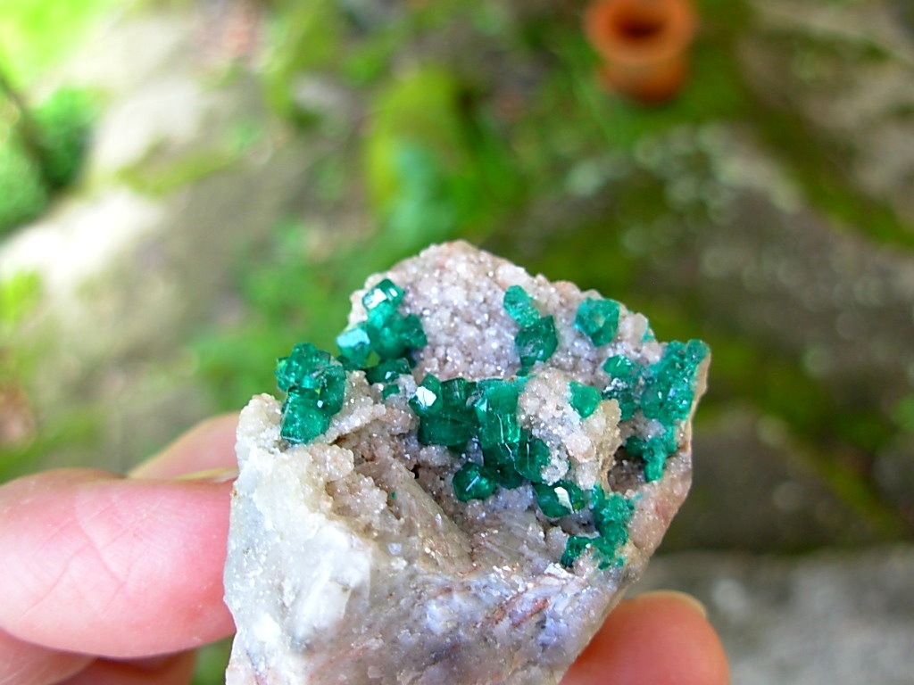 Old Stock Namibia Dioptase on Matrix
