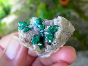 Old Stock Namibia Dioptase on Matrix