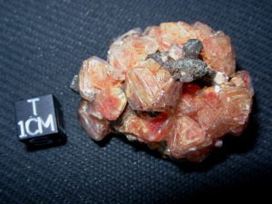 Orange Aluminum Sulfate Crystals on matrix (Poland) (1)