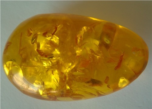 Pressed and Clarified Baltic Amber