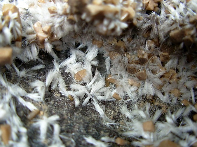 Rare XL Bultfonteinite and Poldervaartite Crystals on matrix from the N'Chwaning II Mine 2004 Pocket