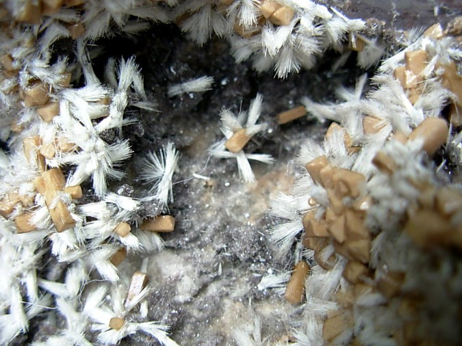 Rare XL Bultfonteinite and Poldervaartite Crystals on matrix from the N'Chwaning II Mine 2004 Pocket