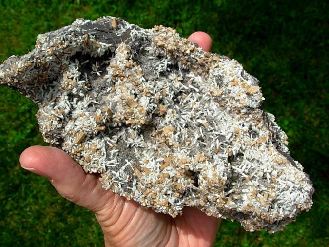 Rare XL Bultfonteinite and Poldervaartite Crystals on matrix from the N'Chwaning II Mine 2004 Pocket