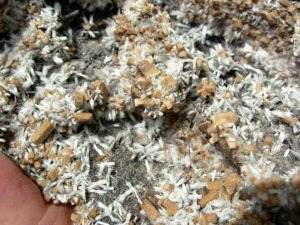 Rare XL Bultfonteinite and Poldervaartite Crystals on matrix from the N'Chwaning II Mine 2004 Pocket