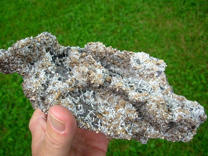 Rare XL Bultfonteinite and Poldervaartite Crystals on matrix from the N'Chwaning II Mine 2004 Pocket