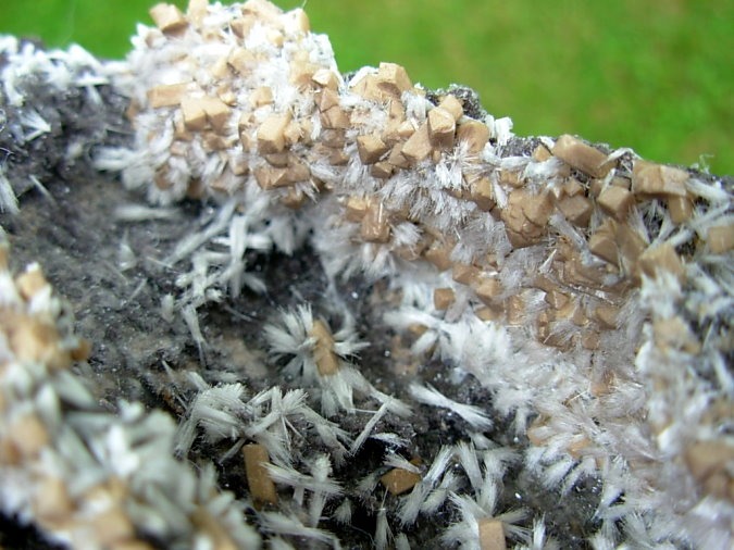 Rare XL Bultfonteinite and Poldervaartite Crystals on matrix from the N'Chwaning II Mine 2004 Pocket