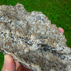 Rare XL Bultfonteinite and Poldervaartite Crystals on matrix from the N'Chwaning II Mine 2004 Pocket