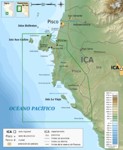 Desert Roses from Peru