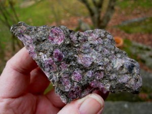 Rhodolite Garnets in Phlogopite Mica Matrix from NC