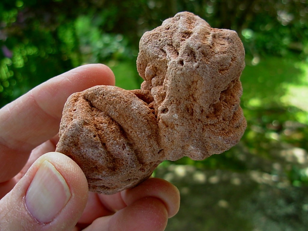 Desert Rose Spirit Rock Shop