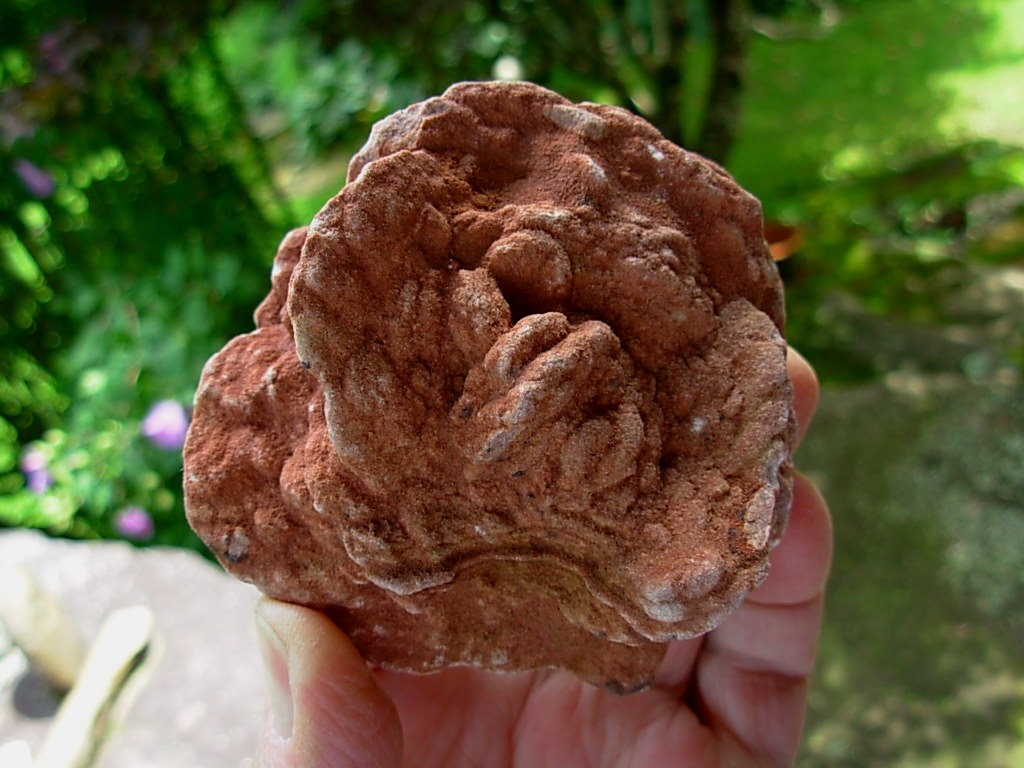 Desert Rose Spirit Rock Shop