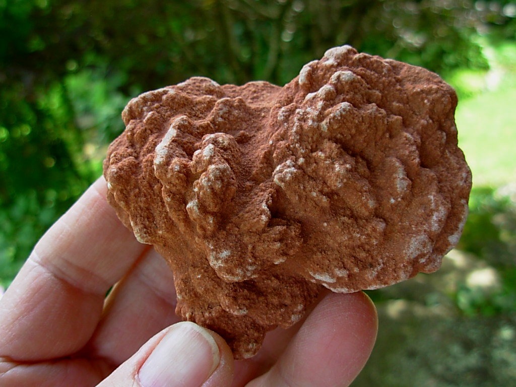 Desert Rose Spirit Rock Shop