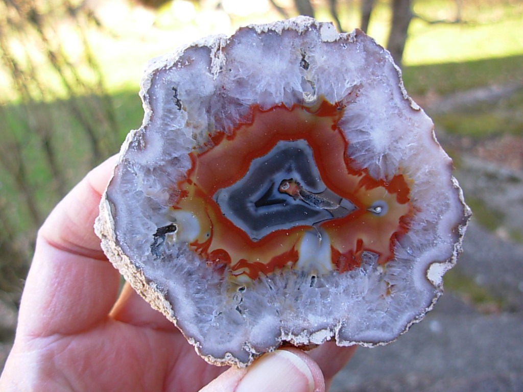 301g Samyta Agate from Argentina