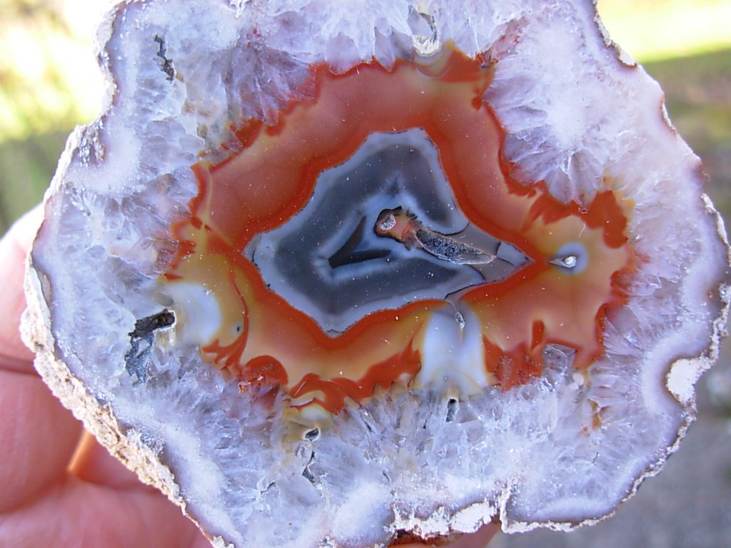 Samy301g Samyta Agate from Argentinata_Agate_Argentina_2_