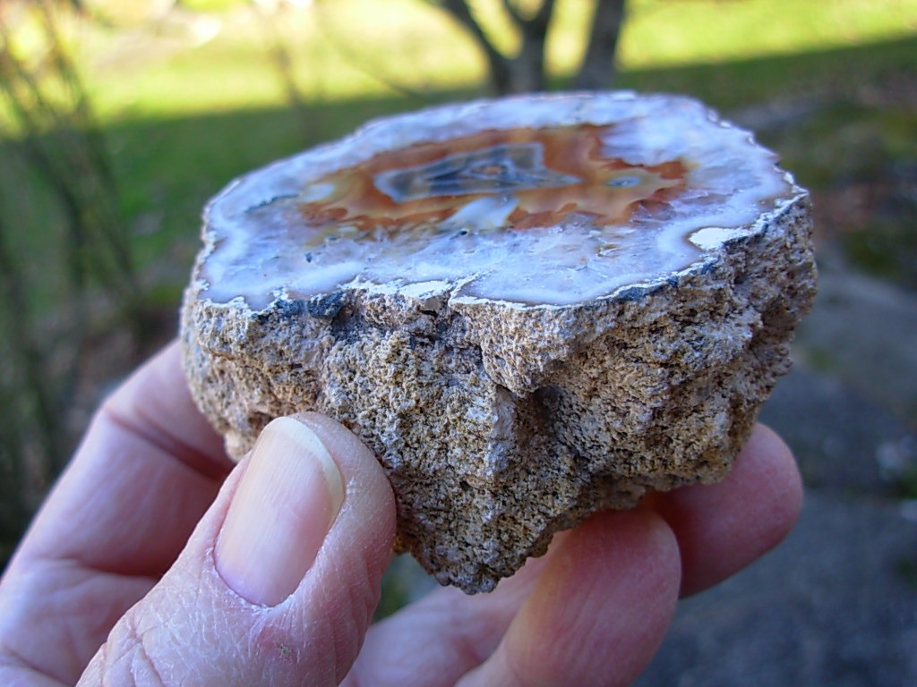 301g Samyta Agate from Argentina