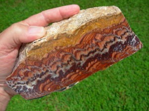 Sandstorm Wave Dolomite