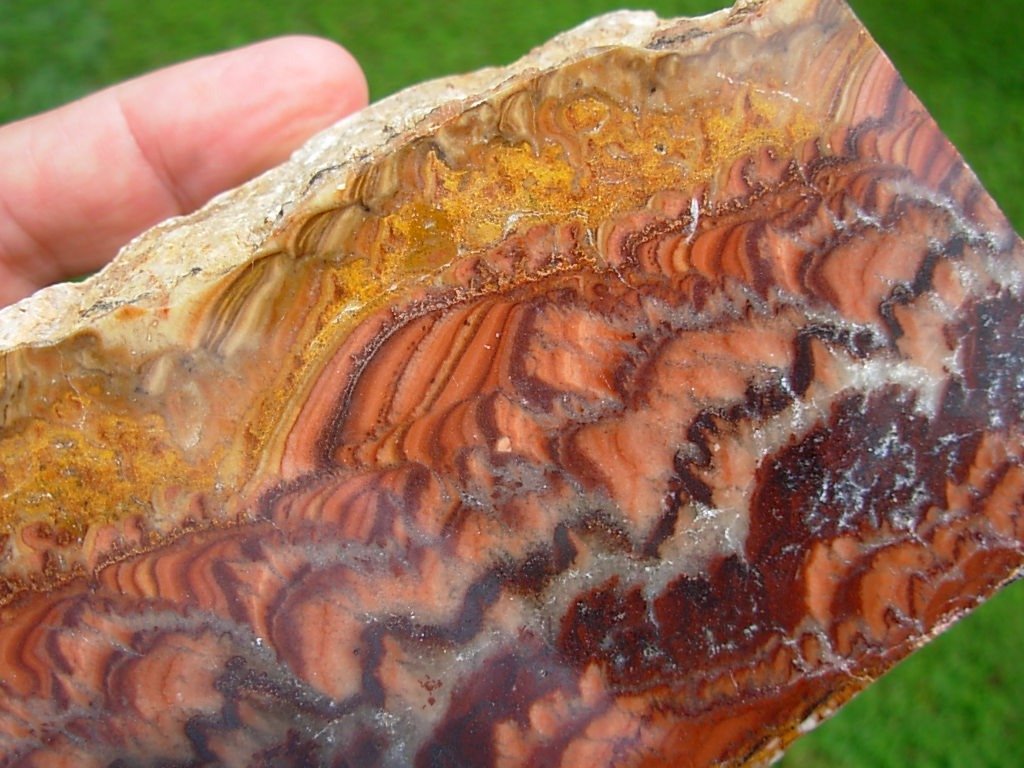 Sandstorm Wave Dolomite