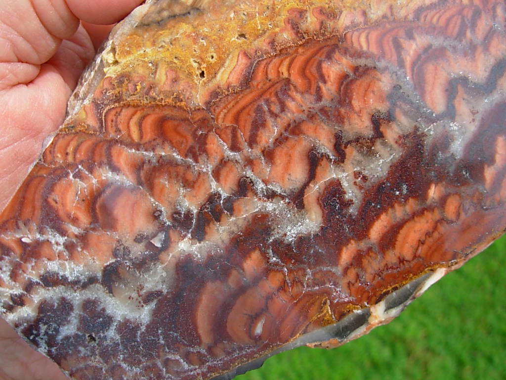 Sandstorm Wave Dolomite